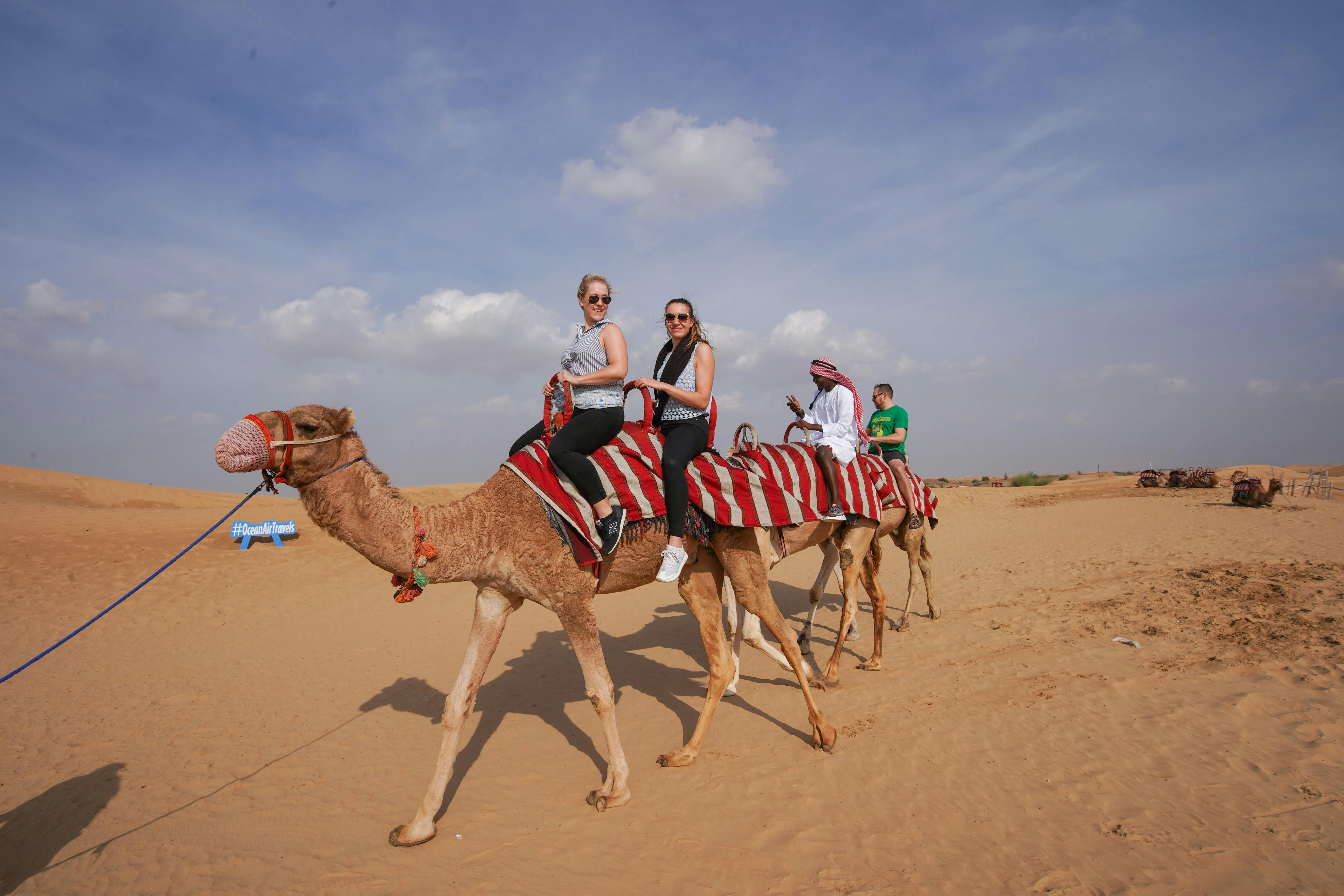 Morning Desert Safari: Dune Bashing, Sandboarding and Camel Rides - Photo 1 of 7